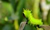 dsc_0889_t1.jpg
