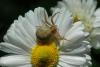 dsc_4649_filtered_t1.jpg