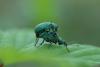 dsc_4764_filtered_t1.jpg