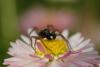 dsc_4818_filtered_t1.jpg