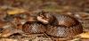 dsc_6550-1_t1.jpg