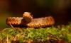 dsc_6605-3_t1.jpg
