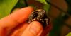 dsc_9124_t1.jpg