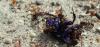 dscf2374-1_t1.jpg