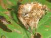 dscf8307_t1.jpg