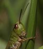 img_5968_t1.jpg