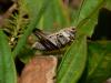 p1090391_filtered_t1.jpg
