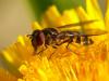 p1090617_filtered_t1.jpg