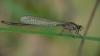 p1090729_filtered_t1.jpg