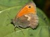 p1110298_filtered_t1.jpg
