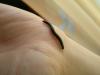 p5140753_t1.jpg