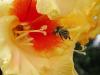 p8240121_t1.jpg