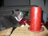 p1010045_t1.jpg
