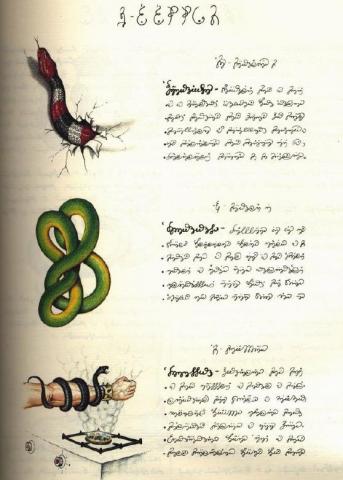 Codex Seraphinianus