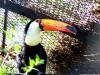 100_5551_t1.jpg