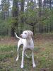 20061006067-vi_t1.jpg
