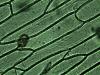 20070123_094657_t1.jpg