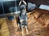 dsc0205_t1.jpg