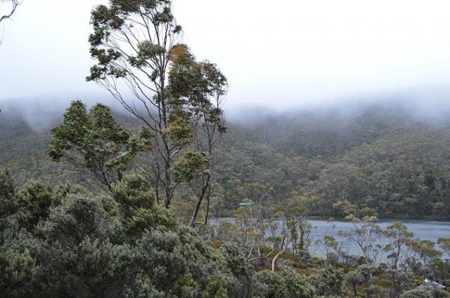 Lake Dobson, Tasmania