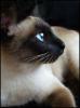 dscf2182_t1.jpg