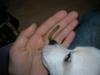 dscn2693_t1.jpg