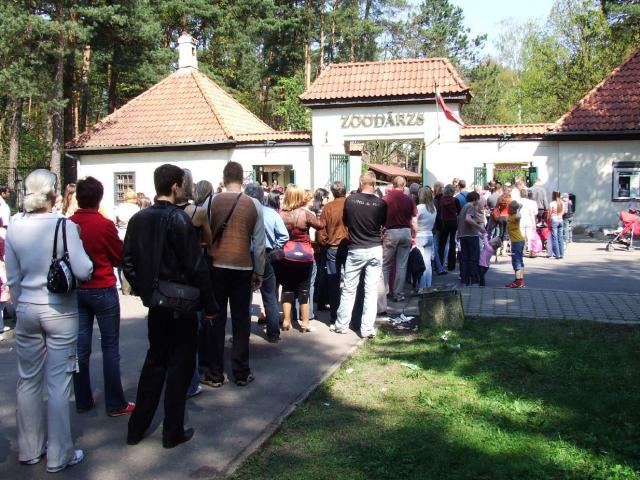 eilutė