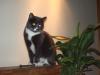 imgp2662_t1.jpg
