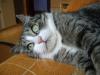 imgp3951_t1.jpg