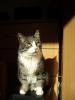 imgp4721_t1.jpg