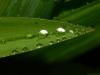 p1080560_filtered_t1.jpg