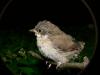 p1110704_filtered_t1.jpg