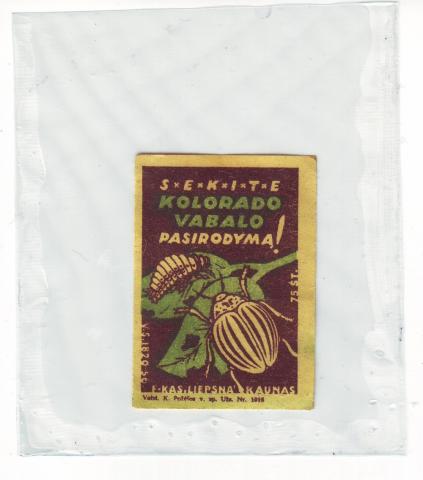 "Sekite, Kolorado vabalą!"