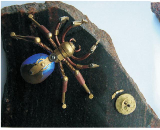 a.boehmei(metalica)