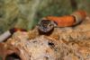 dsc03313_t1.jpg