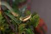 dsc03355_t1.jpg