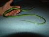 dsc08471_t1.jpg