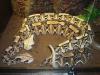 dsc08520_t1.jpg