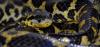 dsc_0134-1_t1.jpg