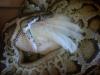 dsc00026_t1.jpg