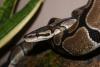 dsc03364_t1.jpg