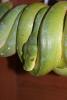 dsc05801_t1.jpg