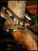 dscf5088_t1.jpg