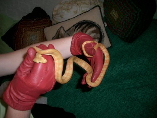 ATB