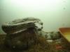 dsc02656_t1.jpg