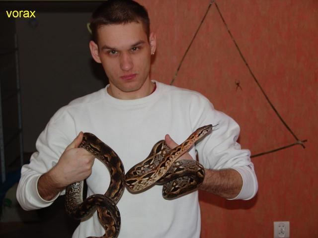 Acantrophis madagascariensis