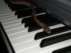pianistas_t1.jpg