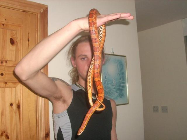 zalcius