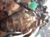 untitled_t1.gif
