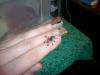 02_t1_1_2_3.jpg