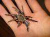 a_t1_1_2_3_4_5_6_7.jpg